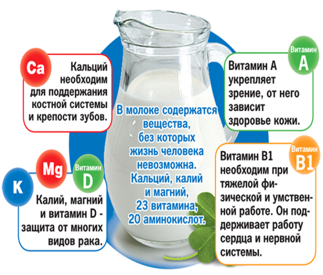 Проект школьное молоко